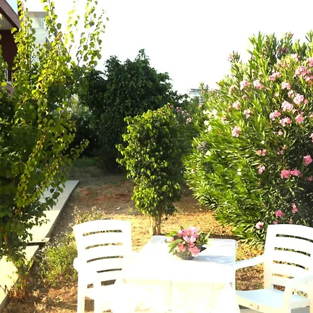 Royal Sun Royal Fun, Next To Grand Sapphire * Trikomo