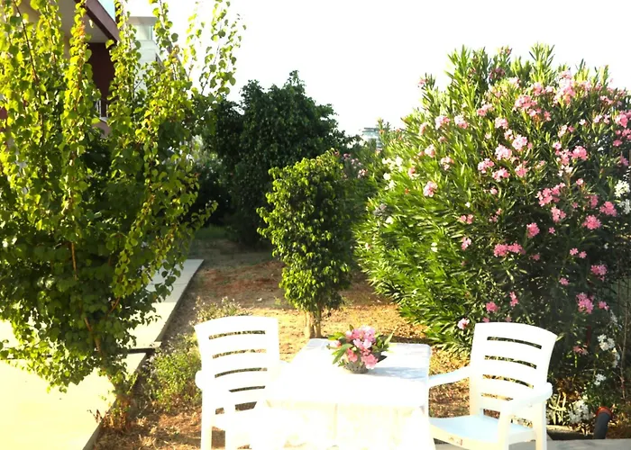 Royal Sun Royal Fun, Next To Grand Sapphire * Trikomo